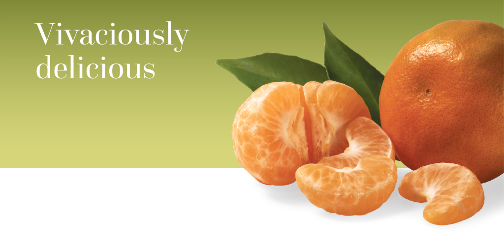 Fruits - Mandarin Orange